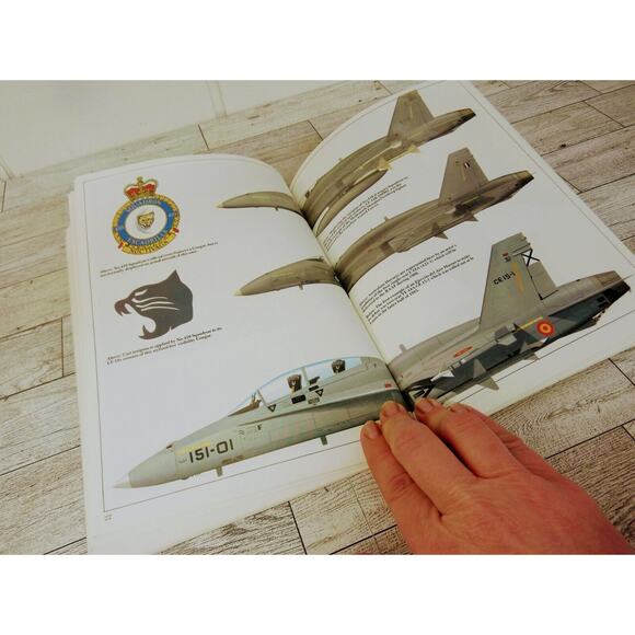 F/A-18 Hornet Osprey Combat Aircraft Series by Lindsay Peacock 1986‎ #2 PB - Picture 4 of 9